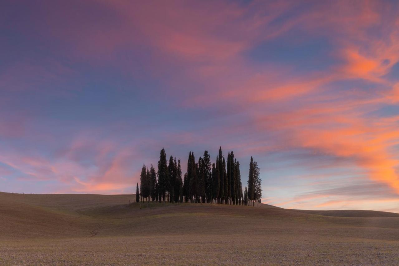 Вілла Agriturismo Poggio Tobruk П'єнца Екстер'єр фото