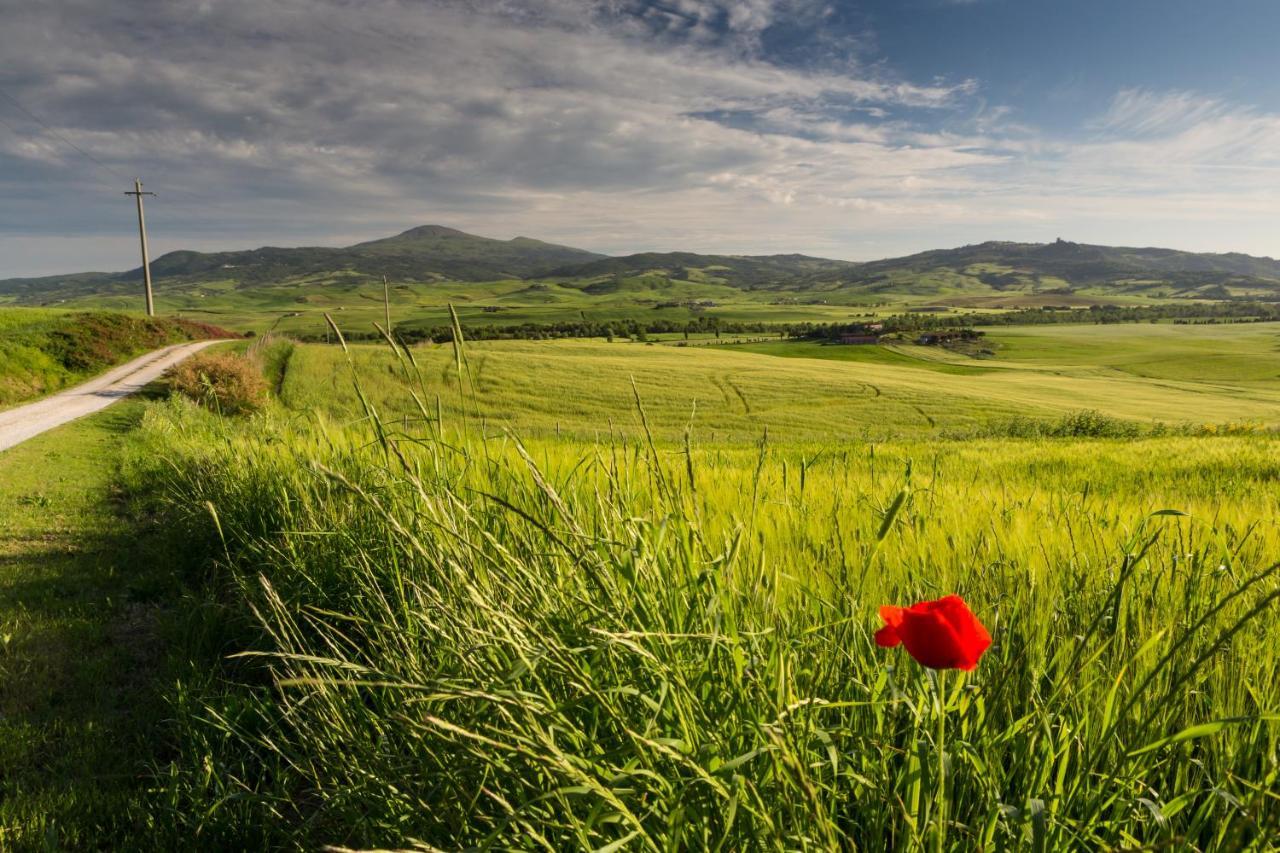 Вілла Agriturismo Poggio Tobruk П'єнца Екстер'єр фото