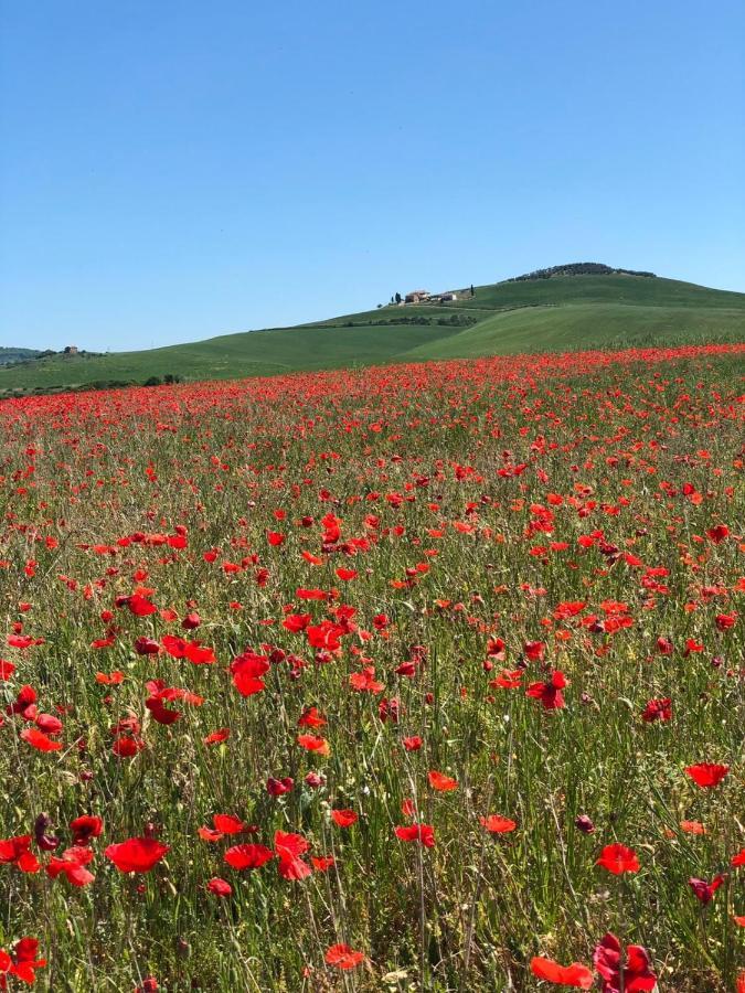 Agriturismo Poggio Tobruk П'єнца Екстер'єр фото