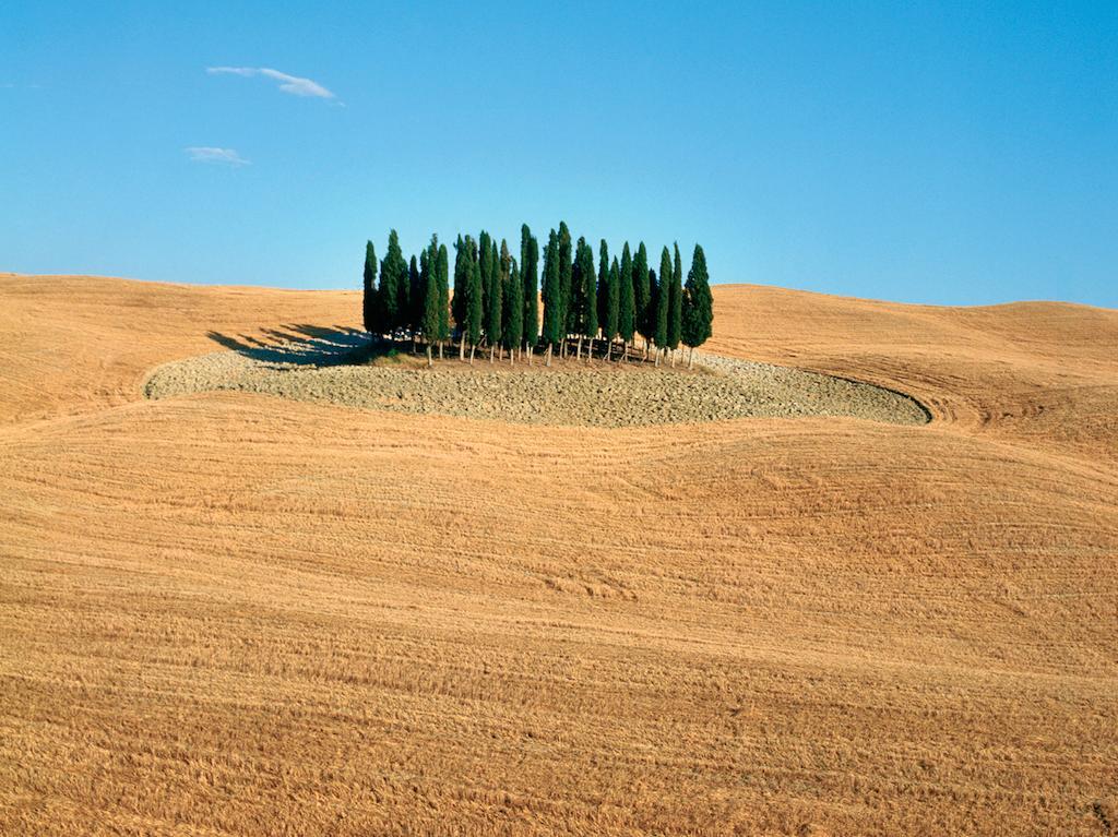 Вілла Agriturismo Poggio Tobruk П'єнца Екстер'єр фото