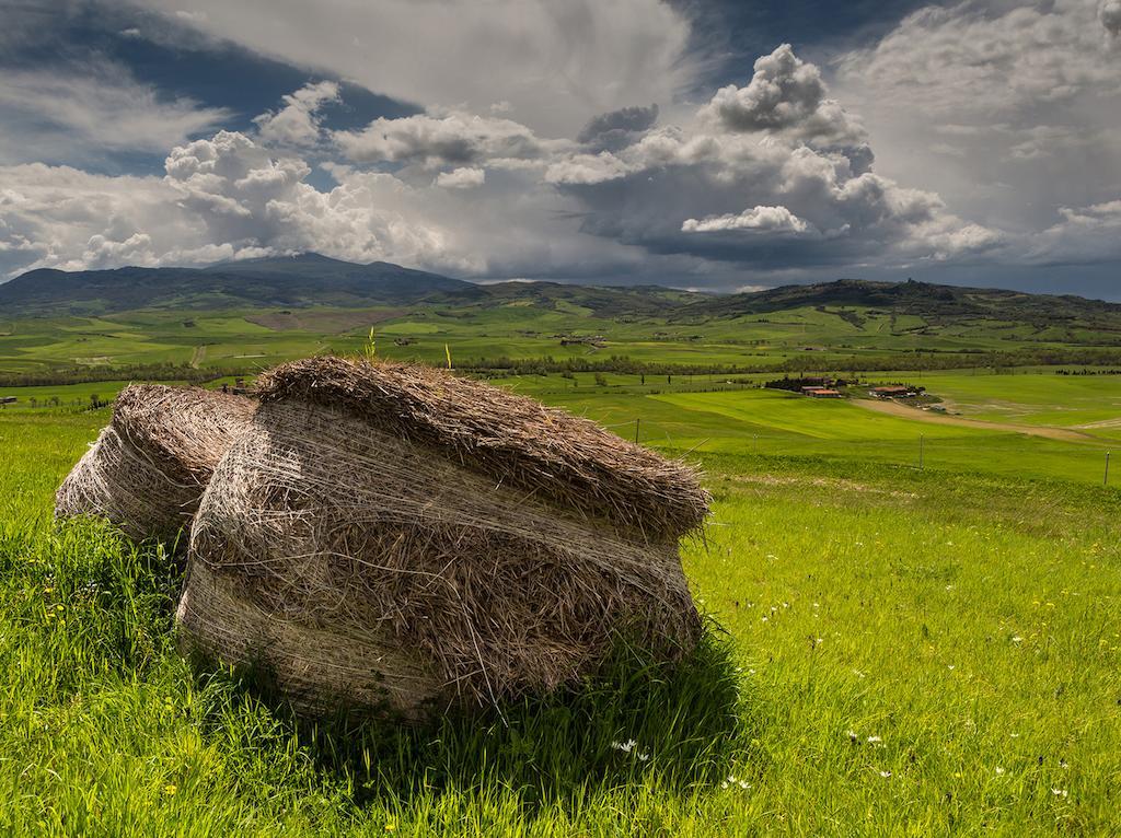 Agriturismo Poggio Tobruk П'єнца Екстер'єр фото