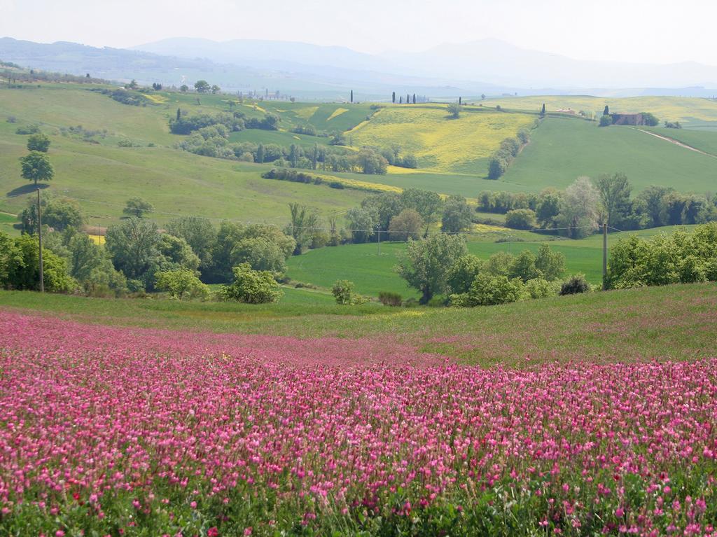 Вілла Agriturismo Poggio Tobruk П'єнца Екстер'єр фото